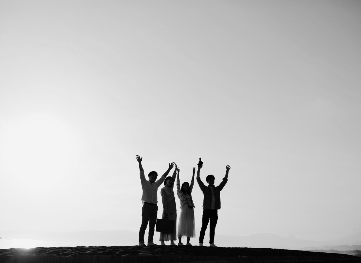 Establishment and Operation Support