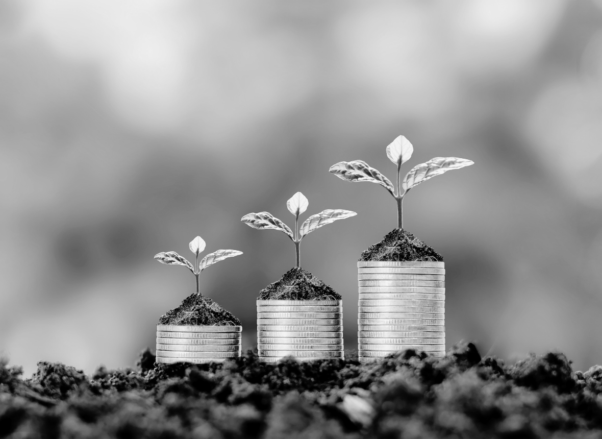 Monetization and Eusiness Expansion